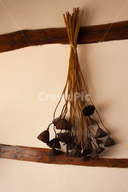 연밥,연보라,벽,나무느낌,마른풀