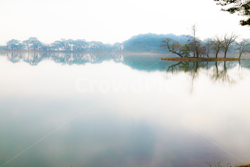 호수,반영,나무,안개,경치,소나무,하늘,제천,의림지,nature,자연,outdoors,옥외,water,물,weather,날씨