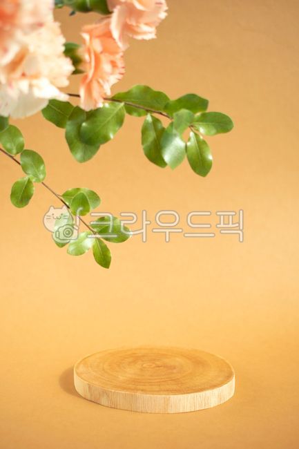 template,water stand,display,tree,leaf,brown,platform,space,flower,presentation,sale,interior decoration,stage,background,vintage,copy space,plant,advertisement,ocher color,beauty advertisement,support,Pedestal