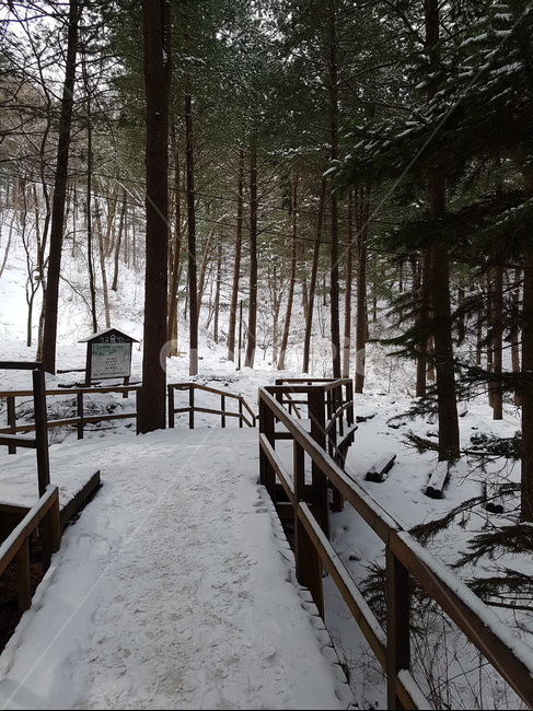 눈,겨울산,눈길,눈산책,길,겨울,계절,winter,season