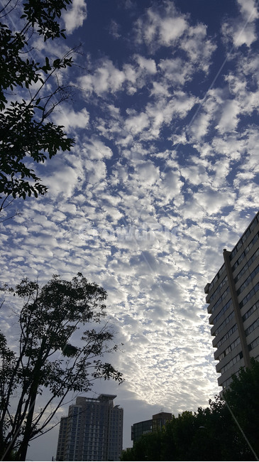 highrise,고층건물,city,시티,town,도시,urban,어반,building,건물,구름,cloud,양때구름
