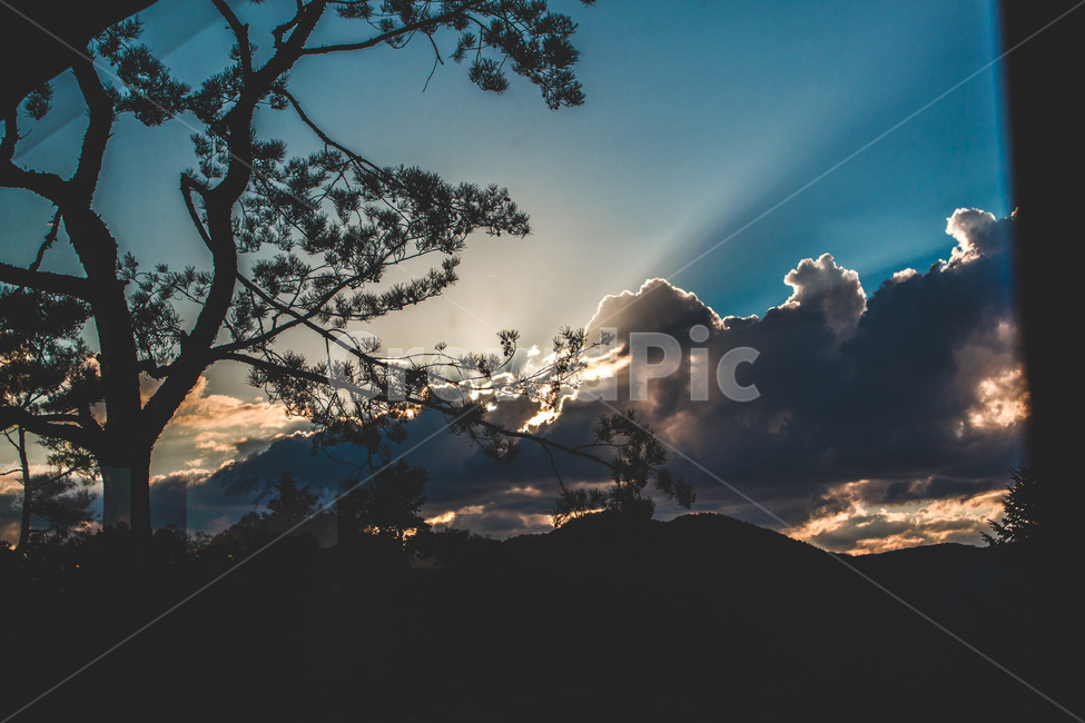 노을,자연,flare,햇빛,플레어,nature,light,outdoors,weather,sunlight,날씨,빛