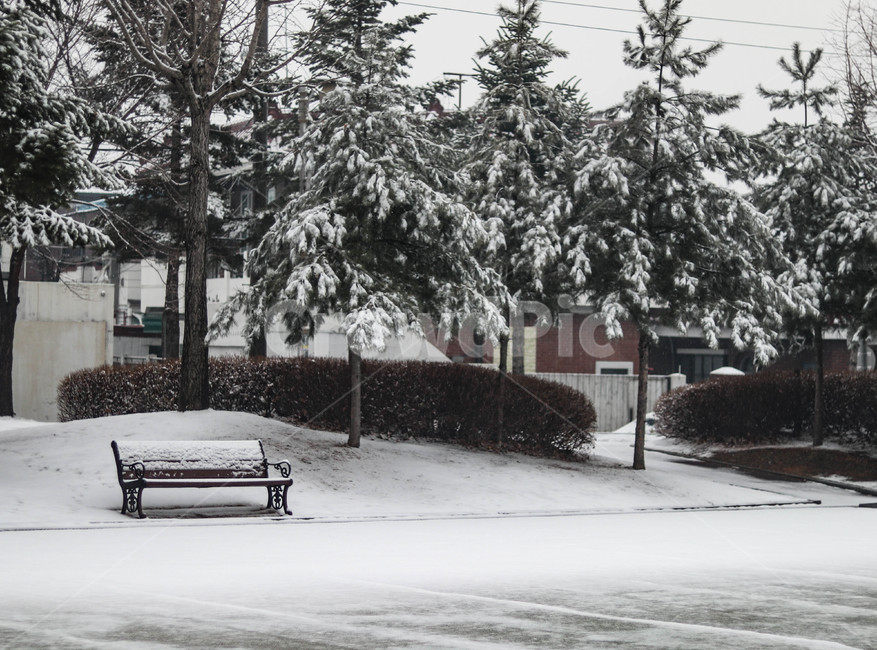 눈,겨울,공원,쓸쓸함,눈오는날,나무,snow,winter,겨울,계절,winter,season,자연,풍경,nature,landscape,bench,벤치,outdoors,옥외