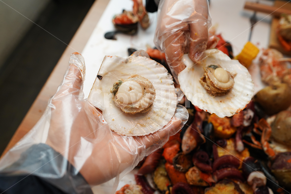 해물,해산물,seafood,먹거리,음식,food,식사,안주,안주거리,컬러,색감,가리비,음식,식재료,요리,food,cook,meal,dishes,food reserves,수산물,해산물,fishery products,seafood
