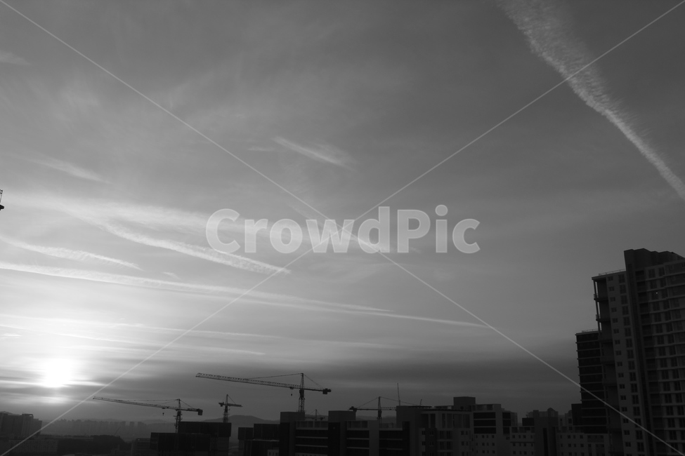 세종시,아침,이교관,하루시작,도심의일출,도시,풍경,city,landscape,한국도시풍경,한국도시경관,korea cityscape,흑백,모노톤,monochrome,black and white,nature,자연