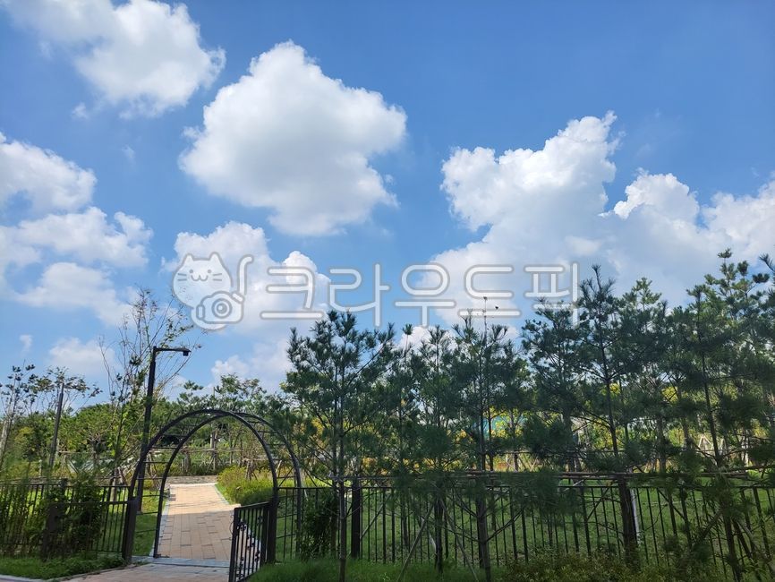 조각구름,푸른하늘,정원,뜰,나무,garden,cloud,sky
