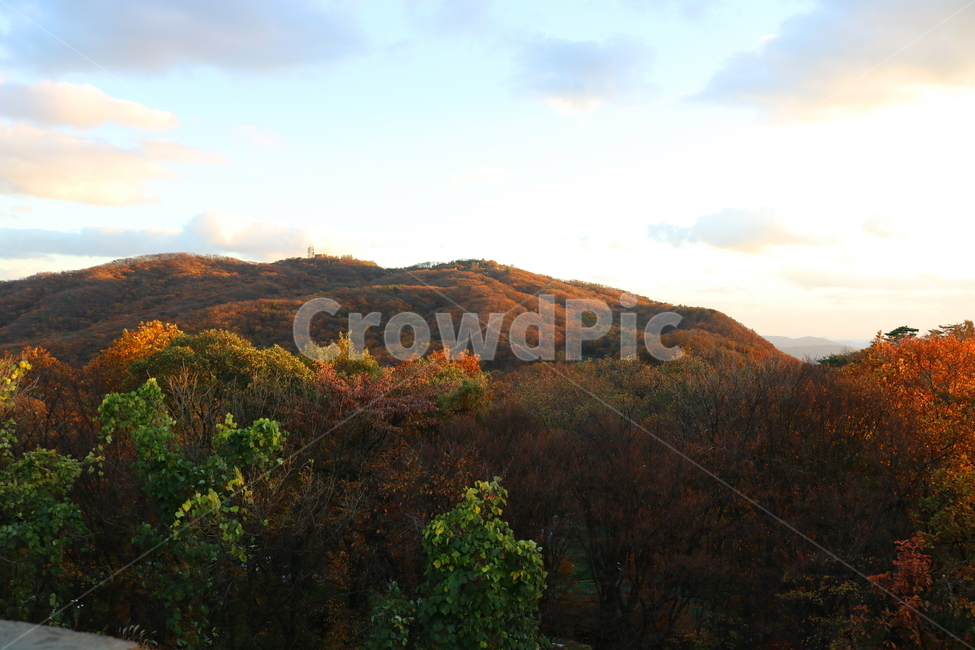 남한산성,산성,자연,풍경,가을,산,단풍,나무,공원,가을,계절,fall,autumn,season,outdoors,옥외,nature
