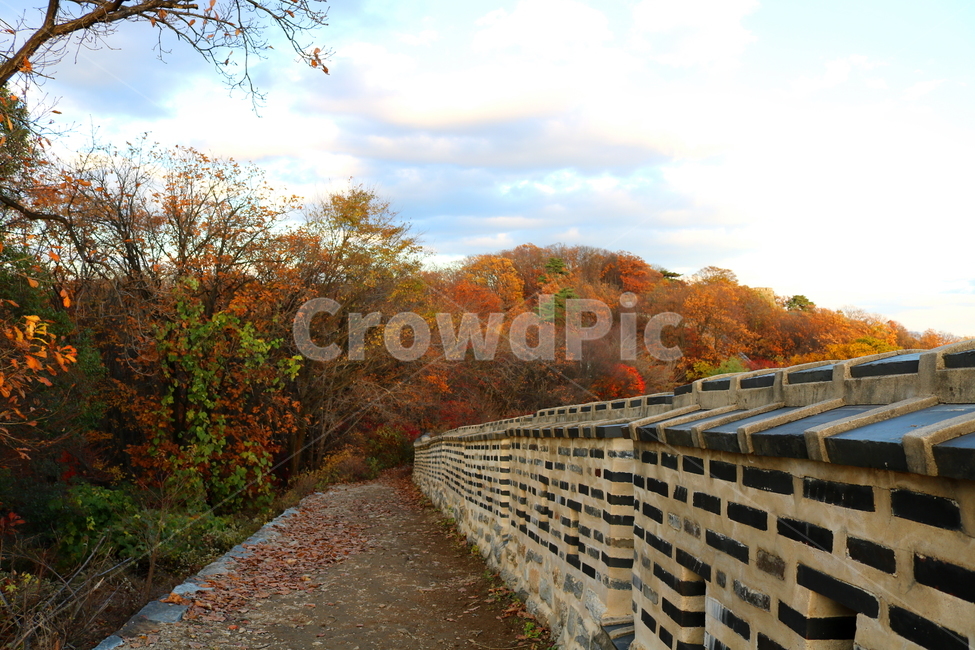 남한산성,산성,성벽,자연,풍경,가을,단풍,나무,공원,가을,계절,fall,autumn,season,한국전통,한국문화,korean traditional,korean culture,건축물,건물외관,exterior,building,structure,architecture,construction,tree,plant,식물,gravel,자갈,dirt road,흙길,road,도로