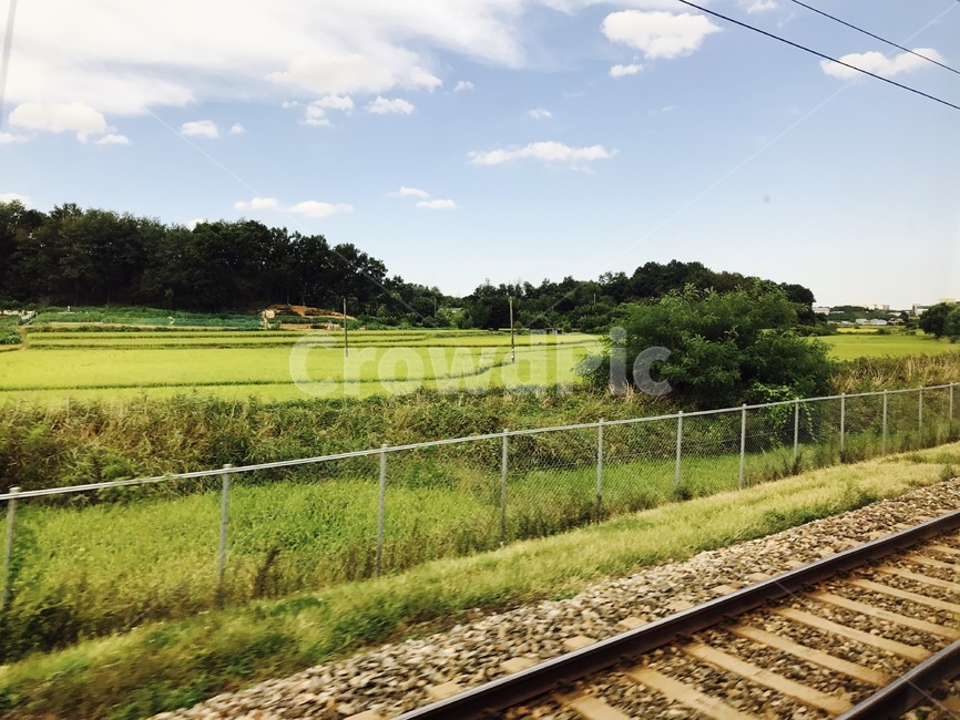 맑은하늘,논,기찻길,paddyfield,traintrack