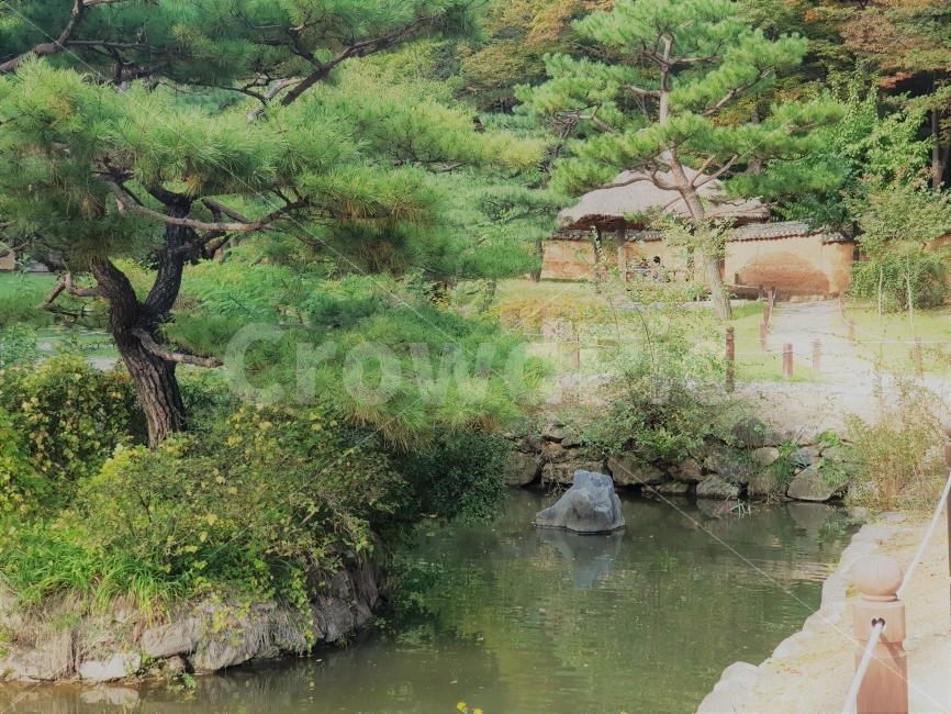 자연,풍경,민속촌,연못,나무,초록색,nature,scenery,경치,view,tree,자연,풍경,nature,landscape,한국전통,한국문화,korean traditional,korean culture