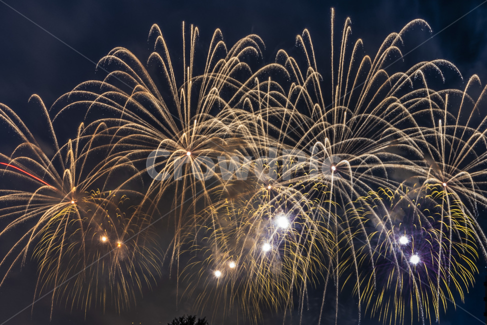 여의도불꽃축제,불꽃축제,불꽃놀이,불꽃,폭죽,outdoors,옥외,firework,야경,밤,풍경,nightscape,night,landscape,축제,행사,festival,carnival,event,nature,자연