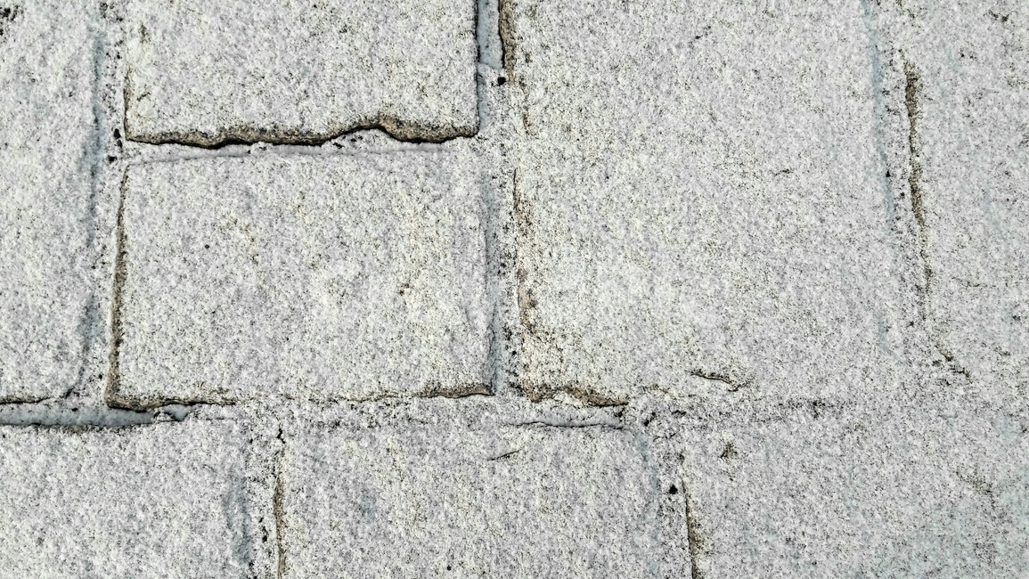 창경궁,박석,바닥,눈,네모,포장,사각형