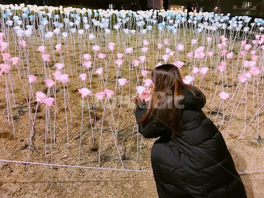여자,앉은모습,뒷모습,꽃밭,풍경,조명꽃,꽃,밤놀이