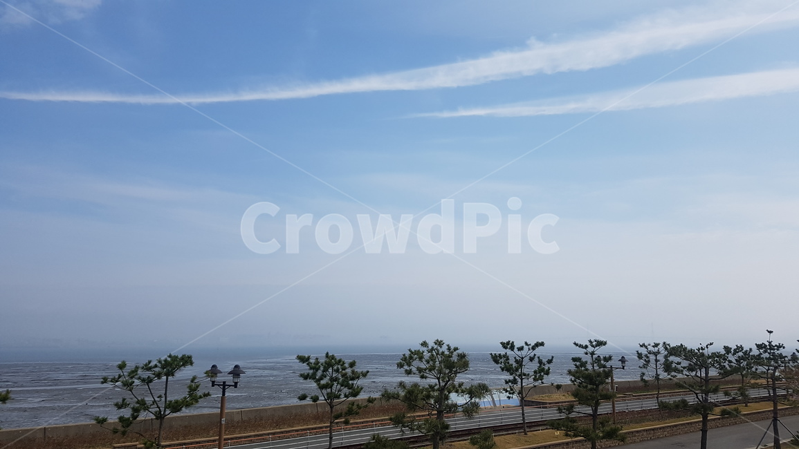 sky,rest,beauty,Incheon,clear sky,landscape margin,tree,enemy,loneliness,slowly,relaxed,cloud,spring,healing,sight,Yeongjongdo,lonely,spring sky,walk,spare