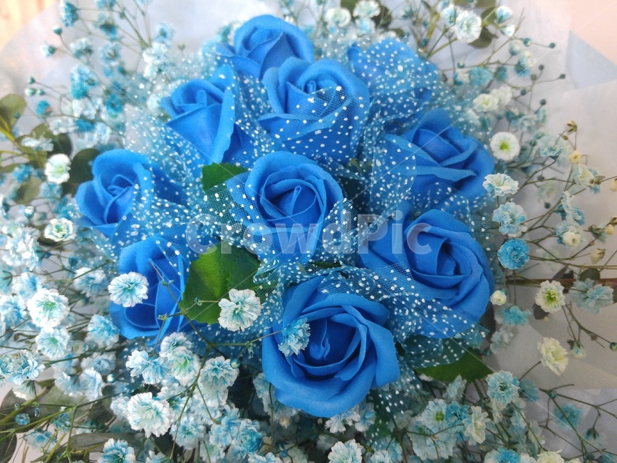 비누꽃,꽃다발,비누꽃다발,장미,파란비누꽃,flower,장미꽃,비누,꽃,축하,꽃부케,부케,blossom,비누장미,데코,데코레이션,안개꽃,꽃,flower,기념일,축하,anniversary,congratulation,celebrate,celebration