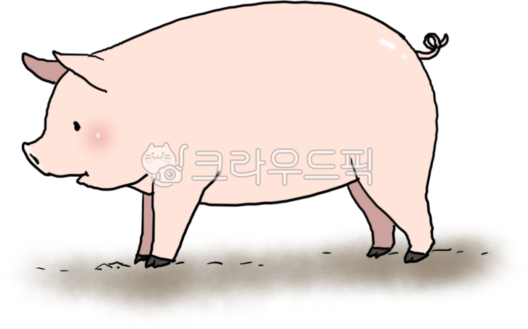 돼지,돼지그림,돼지꿈,돼지옆모습,양돈,농장,가축,동물,돼지고기,삼겹살,손그림,그림,일러스트,잠자는돼지,옆모습,축산,축산농장,농축산,살찐돼지,돼지농가,농가
