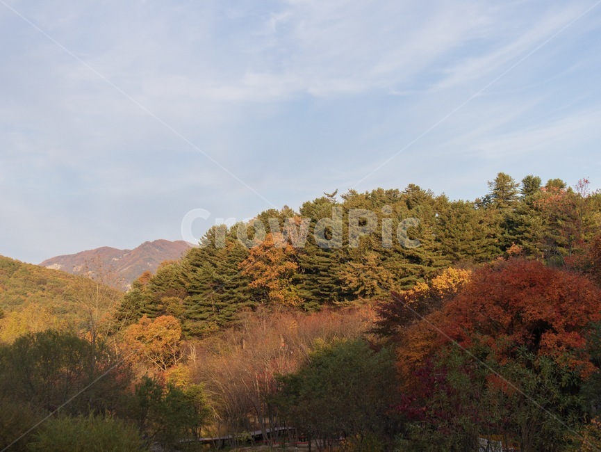 하늘,산,자연,풍경,가을,landscape,nature,outdoors,단풍,tree,나무,plant,식물,가을,계절,fall,autumn,season,자연,풍경,nature,landscape,옥외