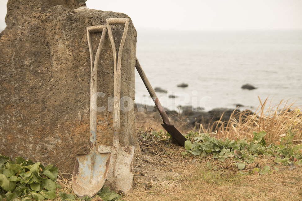 삽,shovel,tool,수단,바다,사물,물건,오브젝트,thing,object,matter