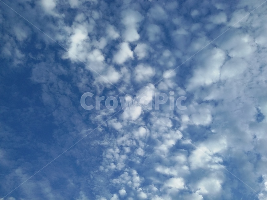 자연,nature,푸른하늘,sky,하늘,구름,자연,풍경,nature,landscape