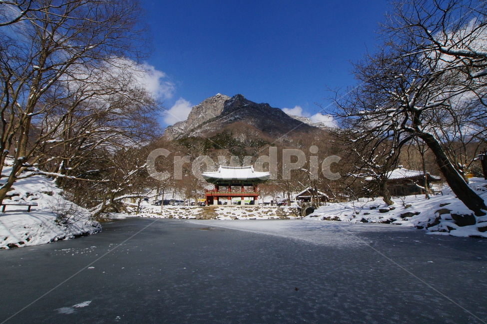 내장산,백양사,쌍계루,설경,국립공원,겨울,계절,winter,season,자연,풍경,nature,landscape,한국자연풍경,한국자연경관,korea nature landscape,outdoors,옥외