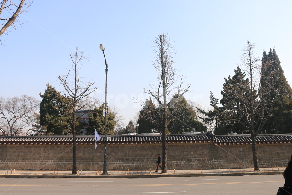 한국적,돌담길,궁,덕수궁,경복궁,창경궁,한국전통,한국문화,korean traditional,korean culture,랜드마크,landmark,tourist attraction,한국랜드마크,한국관광지,한국명소,korea landmark,korea tourist attraction,사람,인물,인간,human,person,건축물,건물외관,exterior,building,structure,architecture,construction
