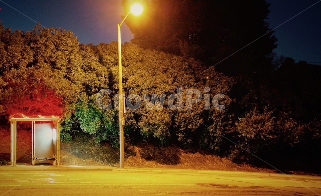 버스,버스정류장,외로움,밤,가로등,야경,밤,풍경,nightscape,night,landscape