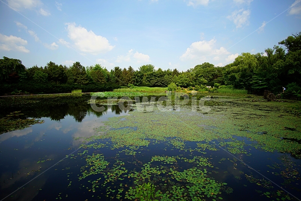 파주,푸른,벽초지,연못,힐링,자연,풍경,nature,landscape,outdoors,옥외,land,땅,water,물