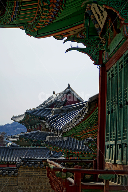 창덕궁,한국,korea,대한민국,서울,seoul,고궁,궁전,궁궐,조선,조선시대,조선왕조,왕궁,한옥,한국적인,한국문화,문화,한국전통,전통,문화재,전통문화,지붕,처마,담청,풍경,landscape,자연,nature,봄,봄꽃,spring,4월,april,기와,왕실,palace,changdeokgung,한국자연,한국풍경,역사,히스토리,history,한국전통,한국문화,korean traditional,korean culture,건축물,건물외관,exterior,building,structure,architecture,construction