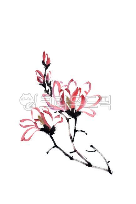목련,홍목련,문인화,동양화,한국화,flower,꽃,petal,꽃잎