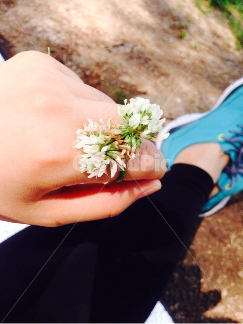 토끼풀,반지,소풍,동심,꽃,clover,ring,picnic,flower,innocenceofchildhood,childlike