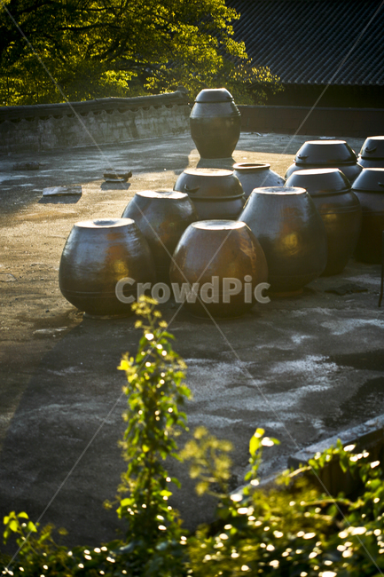 장독,옹기,역광,풍경,가을,담장,한국전통,한국문화,korean traditional,korean culture