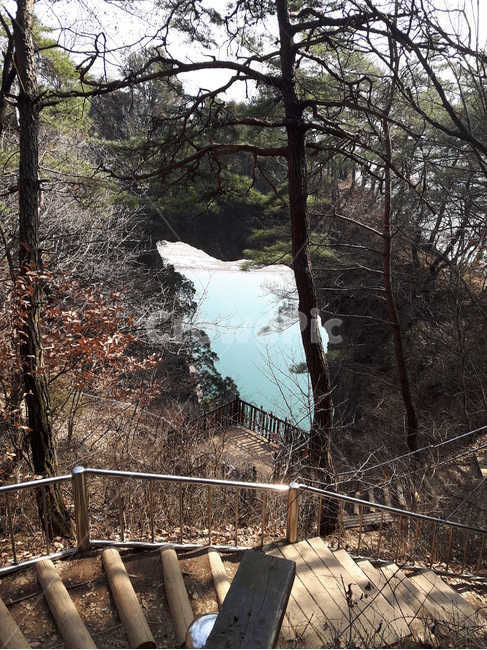 풍경,경치,자연,호수,봉우리,자연,풍경,nature,landscape,tree,나무,plant,식물