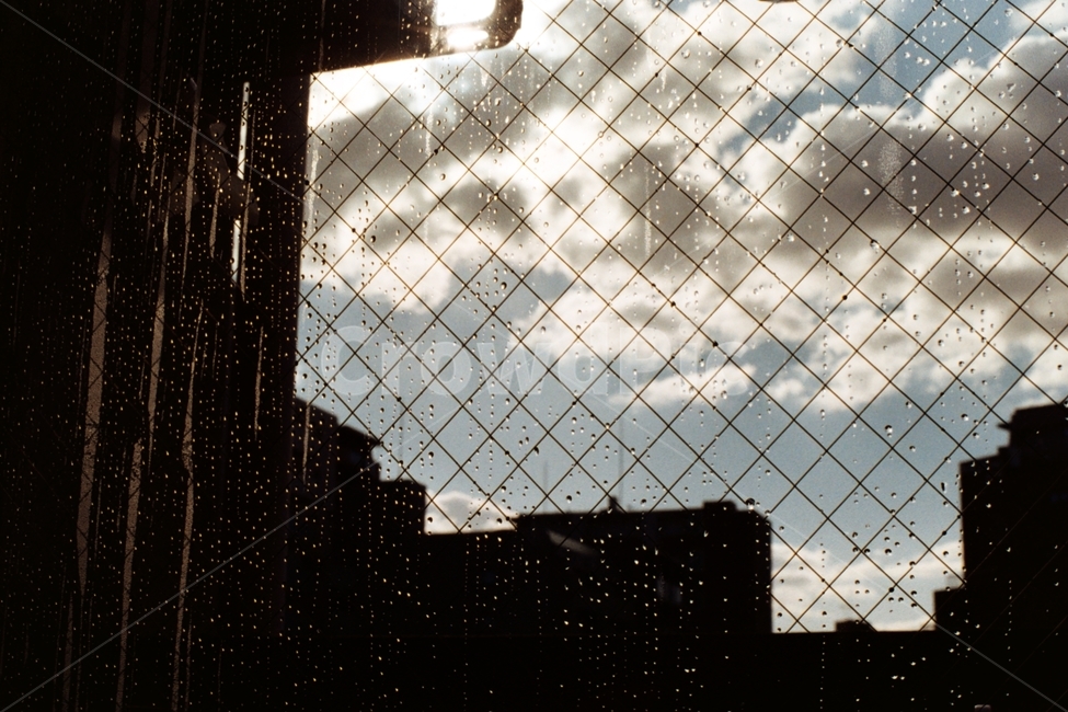 필름사진,구름,비,창문,날씨,film,cloud,rain,window,weather