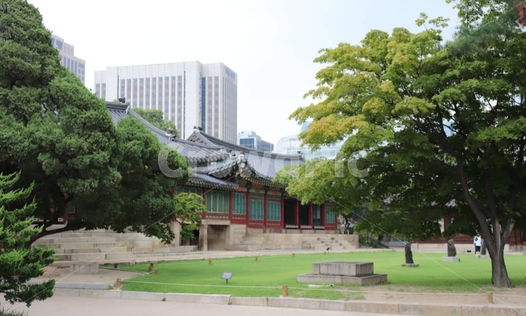 tree,grass,building,palace,나무,잔디,건물,고궁