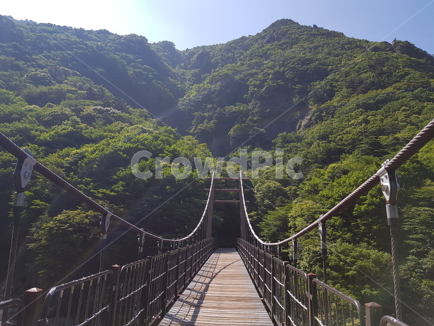 배경화면,자연풍경,경치,한라산,자연배경,등산,나무,산,등산길,제주도,한라산등산,여름,가을,하늘,자연,배경,풍경,멋진경치,nature,언덕,hill,옥외