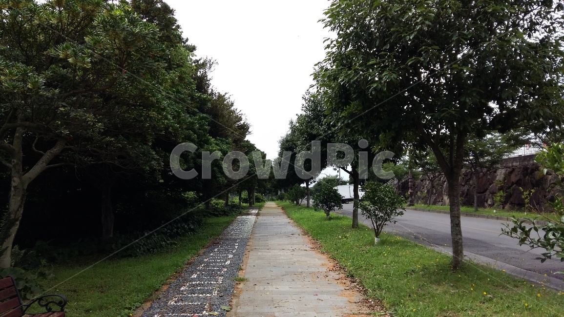 길,도로,산책로,road,자연,jeju,단양,제주도