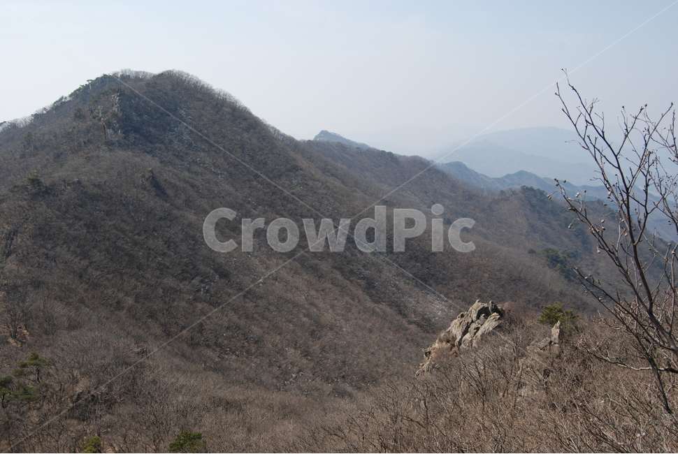 팔공산,삼성암지,등산로,능선,치유,여행,돌,산행,힐링,자연,동행,등산,계절,한국,한국명산,한국등산,풍경,나무,하늘,바람,땅,자연,풍경,nature,landscape,한국자연풍경,한국자연경관,korea nature landscape,slope,경사,outdoors,옥외,hill,언덕
