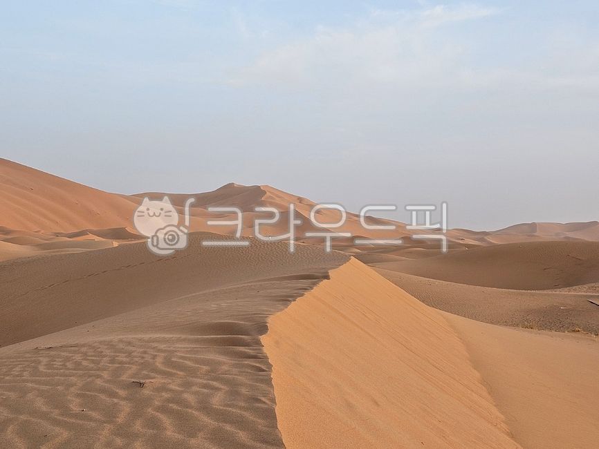 Morocco,Sahara Desert Tour,camel,desert tour,sahara desert