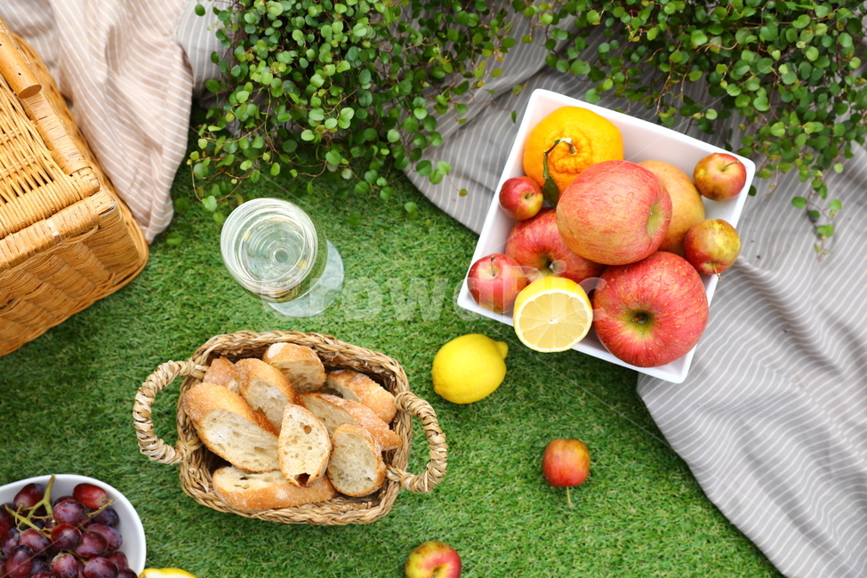 spring accessories,Accessories,baguettes,fruit,fruit basket,picnic,lemons,apples,wine,grapes