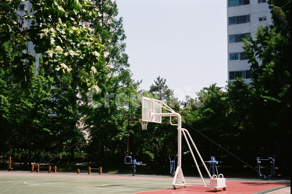농구골대,공원,골대,농구코트,여름,농구,감성