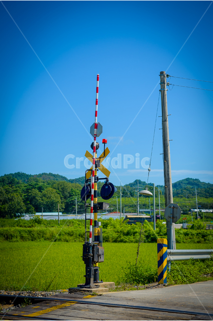 철도,교통,논,건널목,기차,railway,ricepaddy,풍경,railroad,crossing,traffic,train,시골,마을,풍경,landscape,country,rural,town,교통,교통수단,traffic,transportation