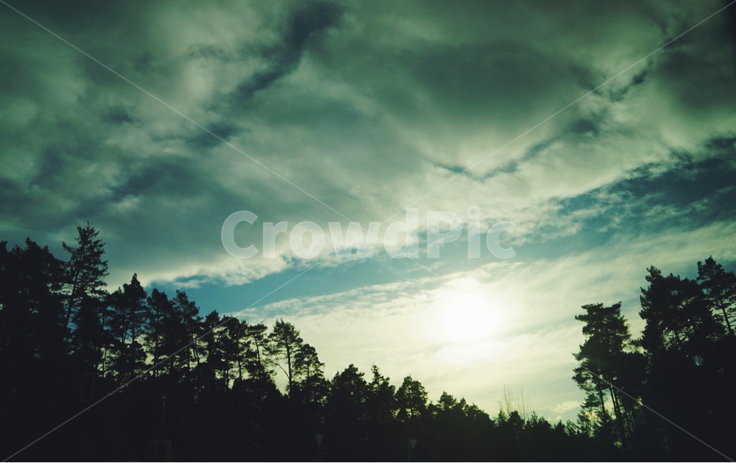 하늘,구름,나무,노을,감성,자연,풍경,nature,landscape,outdoors,옥외,light,빛,flare,플레어