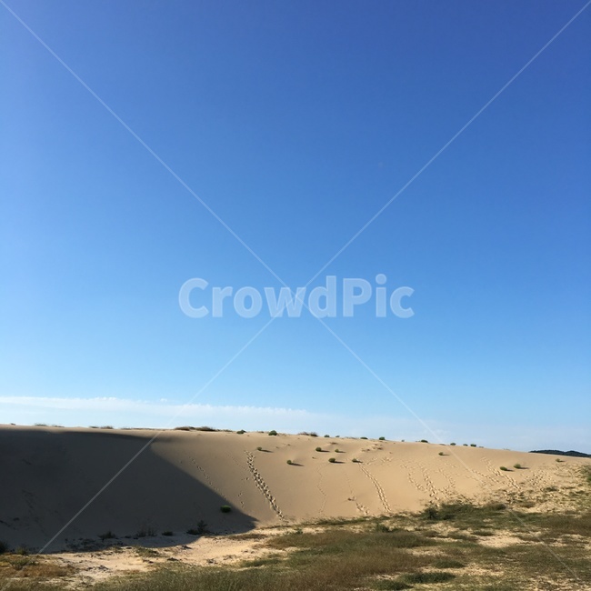 사구,모래언덕,outdoors,옥외,모래,dune,자연,sand,흙,nature,soil