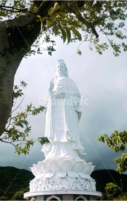 불상,불교,베트남,절,나무,조각상,buddhism,buddhist,buddha,vietnam,danang,다낭,temple,tree,statue,영흥사,링엄사,whitestatue,조각상,동상,석상,조형물,statue,bronze statue,stone statue,종교,신앙,religion,belief,faith
