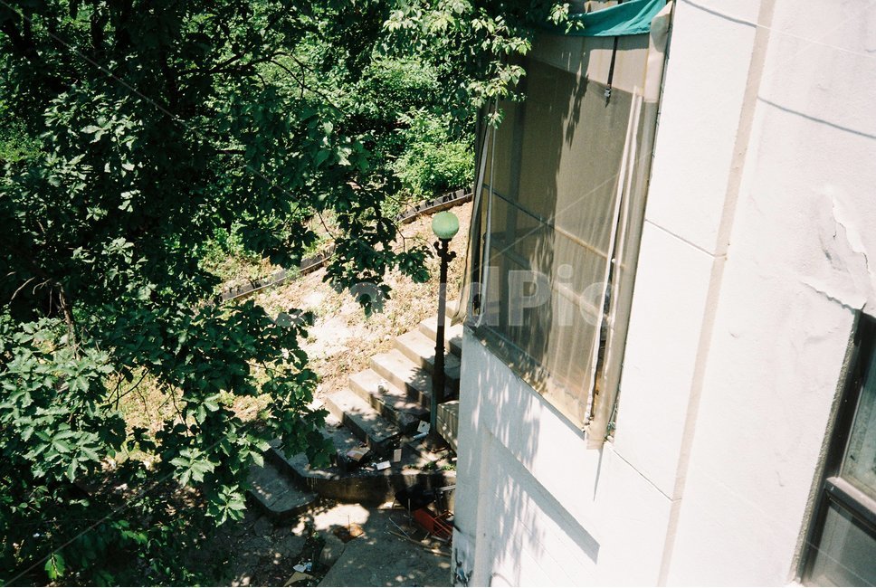 계단,학교,자연,햇살,그림자,햇볕,여름,낮,나무,건물,stairs,summer,afternoon,건축물,건물외관,exterior,building,structure,architecture,construction