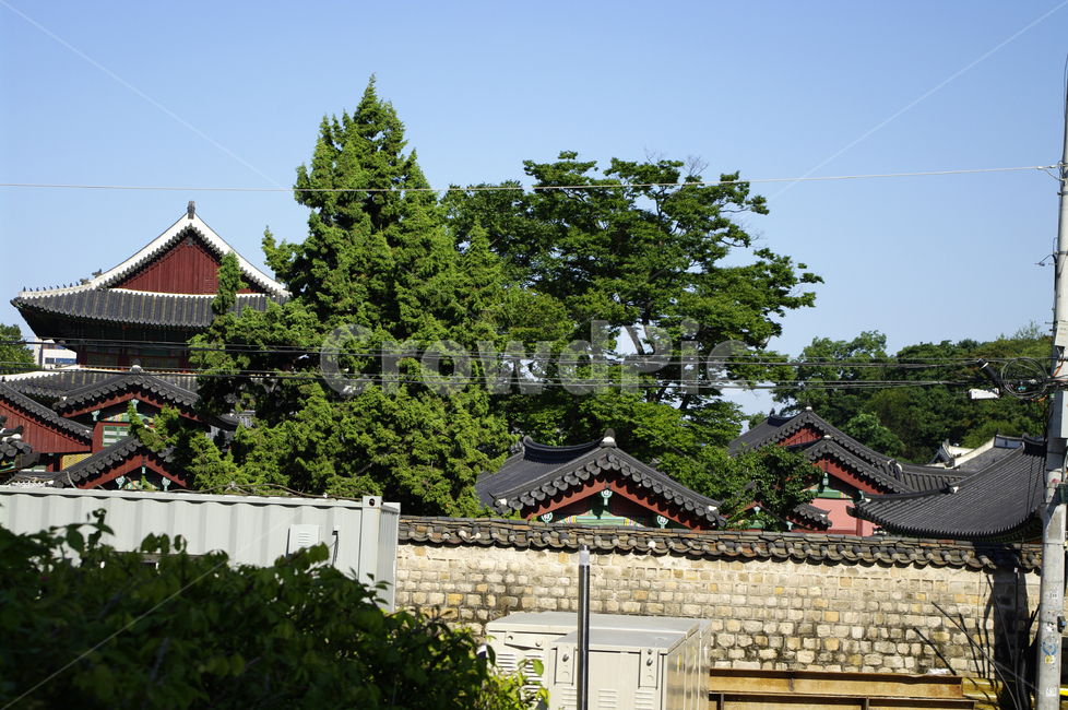 창덕궁,궁궐,기와지붕,담장,한국,하늘
