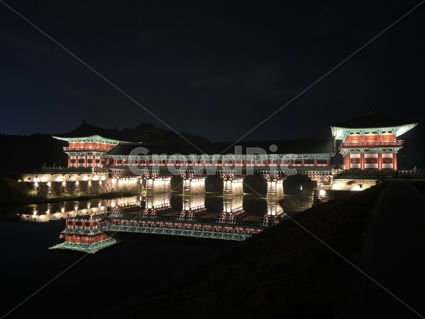 야경,감성사진,자연,식물,plant,tree,나무,풍경,scenery,outdoors,경치,월성교,경주,야경,밤,풍경,nightscape,night,landscape,한국전통,한국문화,korean traditional,korean culture,랜드마크,landmark,tourist attraction,한국랜드마크,한국관광지,한국명소,korea landmark,korea tourist attraction