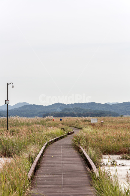 우움도,갈대,습지,휴식,풍경,구름,감성,자연,풍경,nature,landscape,한국자연풍경,한국자연경관,korea nature landscape,bridge,다리,boardwalk,산책로,building,건물