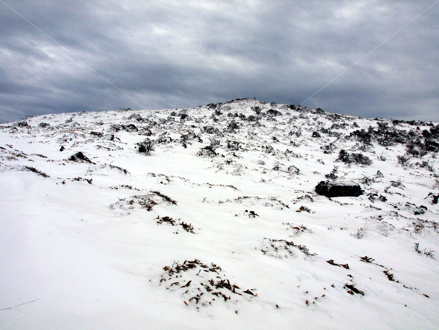 어리목,한라산,제주도,겨울,설산,설경,눈,겨울,계절,winter,season,자연,풍경,nature,landscape,slope,경사,outdoors,옥외