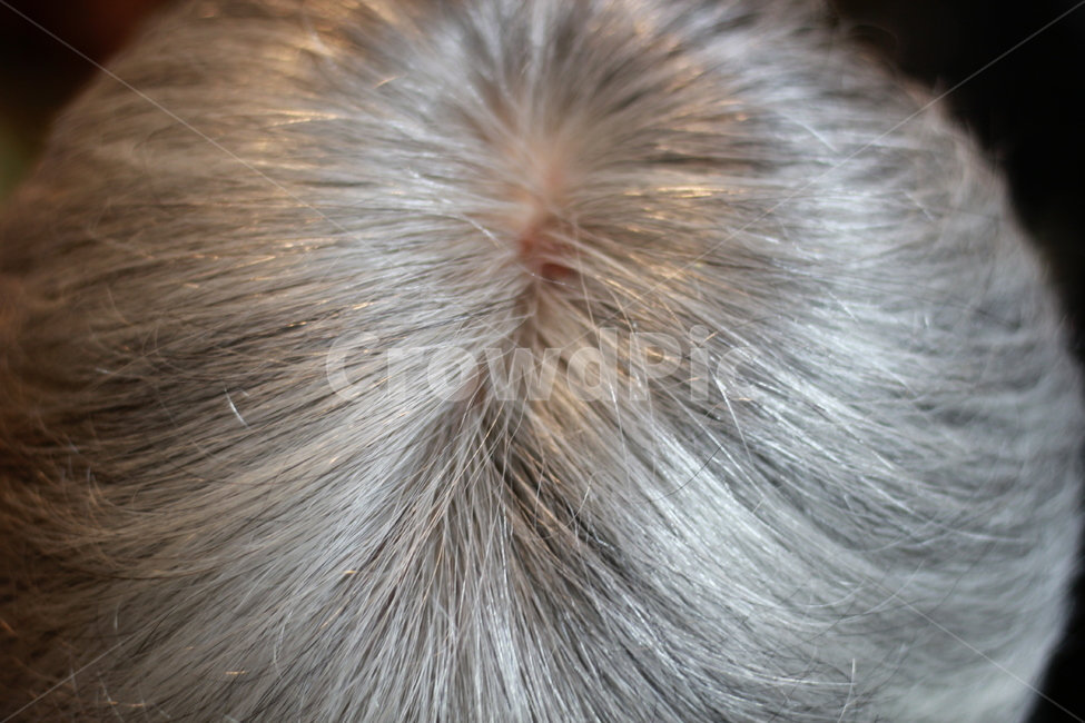 백발,힌머리,반백,하얀머리,인물,중년,검은머리,염색,hair,머리,사람,인물,인간,human,person,신체일부,몸,body,노인,어르신,old man, senior citizen